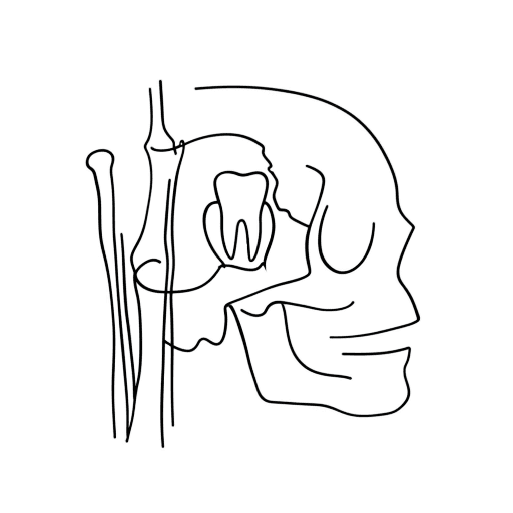 Growth & Development - featured image